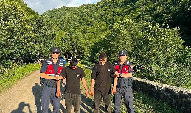 Artvin'de kaçak göçmenler ormanlık alanda yakalandı