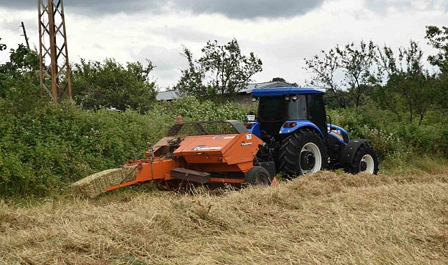Atakum'da tarlalar altın rengine büründü