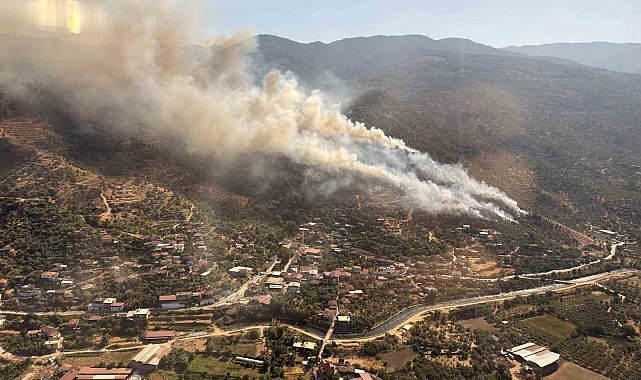 Aydın Bozdoğan'daki orman yangını kontrol altına alındı