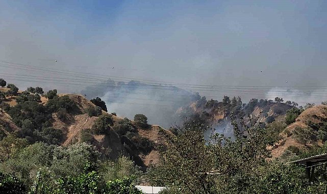 Aydın Valisi Canbolat: "Ekipler çevreyi sardı, kısa sürede kontrol altına alacağız"