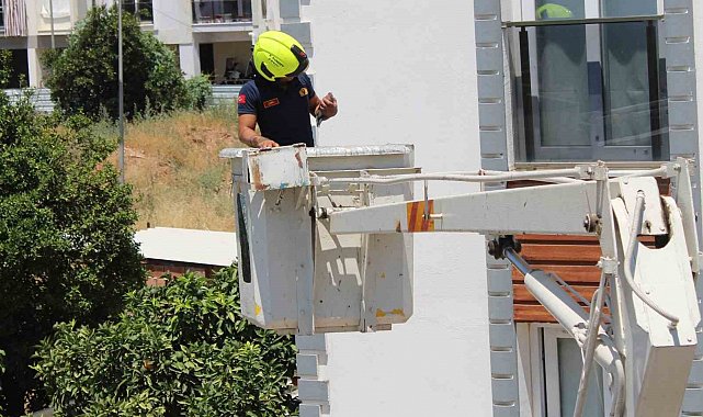 Aydın'da balkonda sıkışan kumruyu vatandaşın dikkati kurtardı