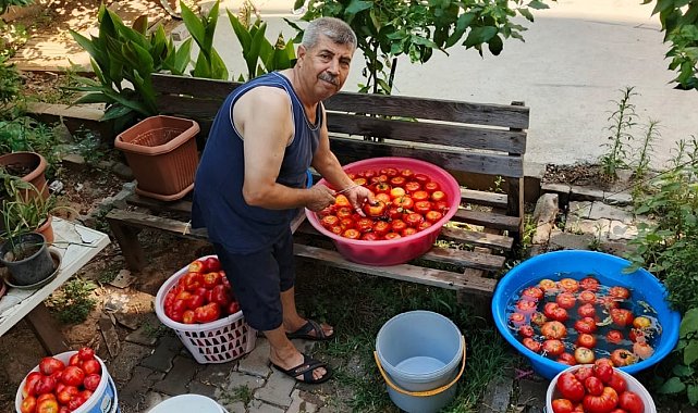 Aydın'da salça yapım telaşı başladı