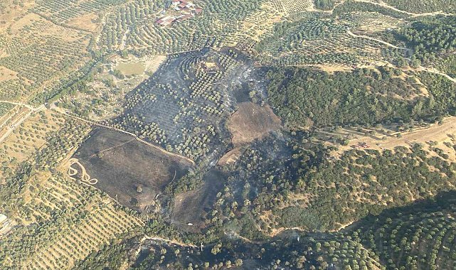 Aydın'daki yangın kontrol altına alındı