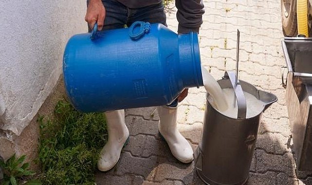 Aydıntepe'de 'Süt Hijyeni' kursu açılıyor