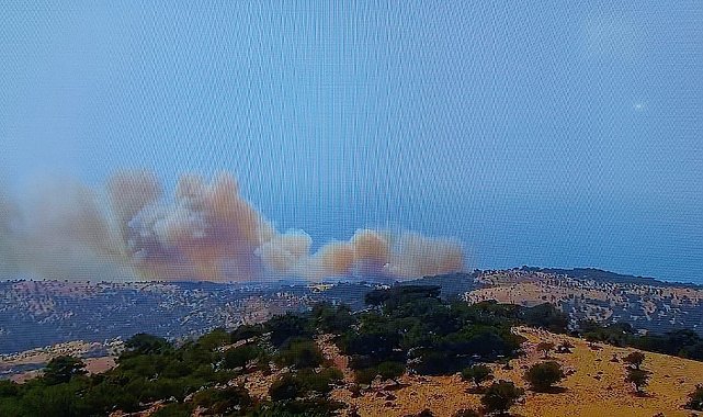 Ayvacık'ta başlayan orman yanınına müdahale ediliyor