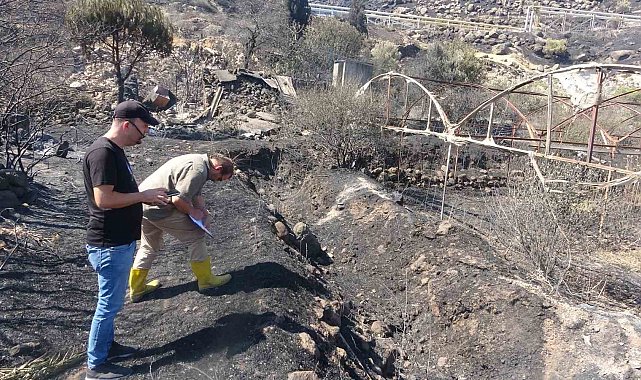 Ayvacık'ta yangından etkilenen alanlarda hasar tespit çalışmaları başladı