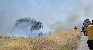 Ayvalık'ta çıkan arazi yangını bölgedeki iş yerlerini tehdit etti