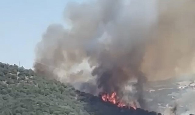 Balıkesir'de orman yangını