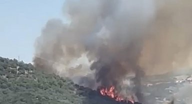 Balıkesir'de orman yangını