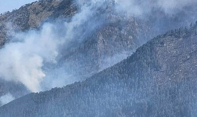 Balkanlar'daki sıcak hava dalgası orman yangınlarına neden oldu