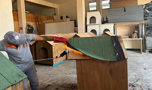 Bandırma Belediyesi'nden sokak hayvanlarına doğal yaşam alanı