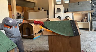 Bandırma Belediyesi'nden sokak hayvanlarına doğal yaşam alanı