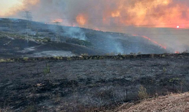 Bandırma OSB yakınlarındaki arazi yangını söndürüldü