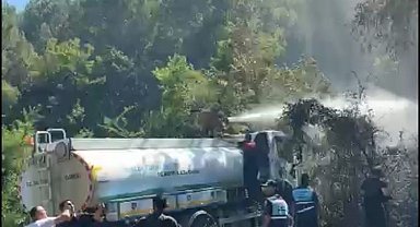 Bartın'da bahçe yangını ormana sıçramadan söndürüldü