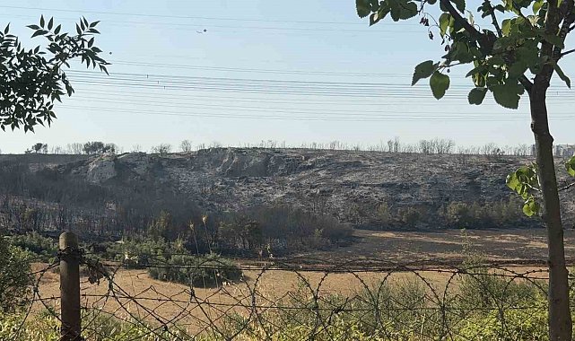 Başakşehir'de çalılık alanda yangın