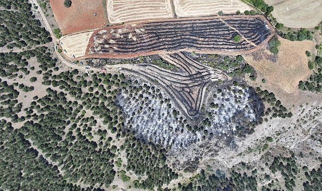 Başkan Arslan'dan yangın açıklaması