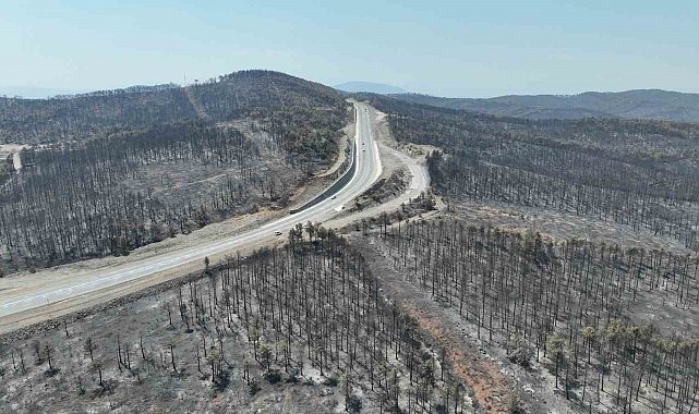 Başkan Bozbey: "10 bin futbol sahası kadar alanı kaybetmenin üzüntüsünü yaşıyoruz"