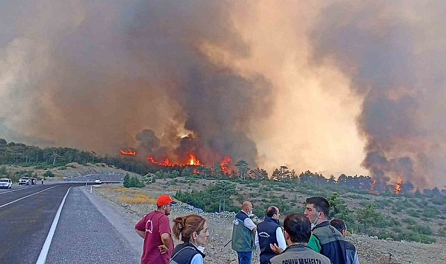 Başkan Bozbey, "Yangının 6 farklı bölgede bir anda başlamış olması düşündürücü"