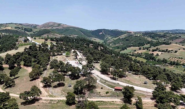 Başkan Ercan Özel: "Gönül rahatlığıyla Kozdere Çamlığı'nda piknik yapılabilir