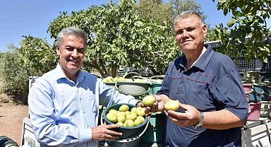 Başkan Erol'dan Taze İncir Festivaline davet