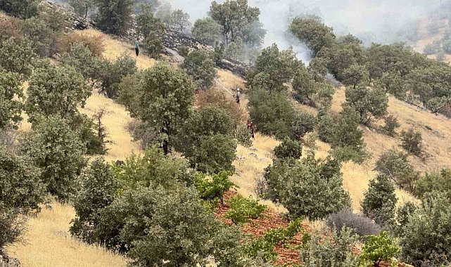 Batman'da örtü ve orman yangında bin dönüm alan zarar gördü