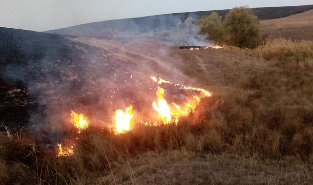 Bayburt'ta anız yangınlarına karşı uyarı: "Geleceği yakmayın"