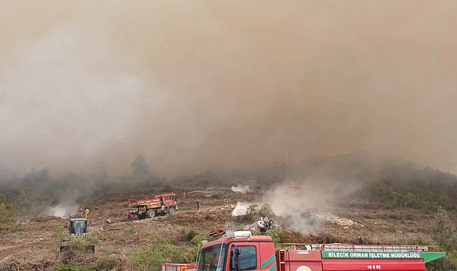 Bayırköy Belediyesi'nden Zobran köyünde çıkan yangına destek