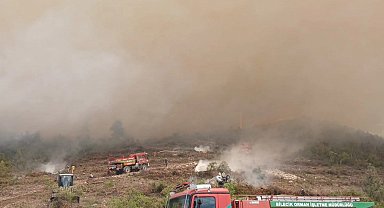 Bayırköy Belediyesi'nden Zobran köyünde çıkan yangına destek