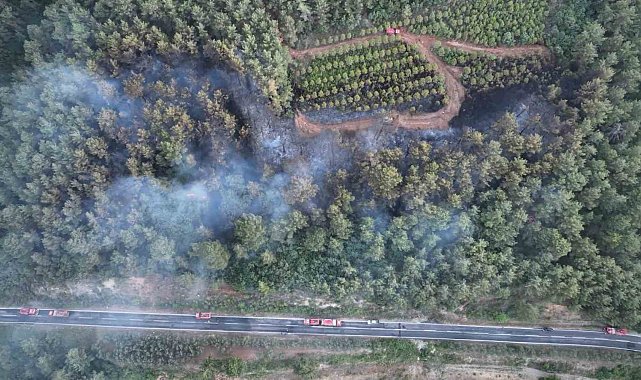 Bayramiç'teki orman yangını kontrol altına alındı