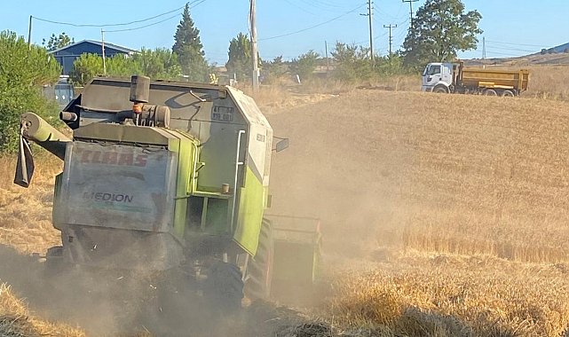 Belediyenin tarlasından ihtiyaç sahiplerinin sofrasına