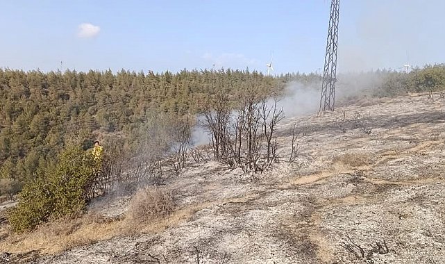 Belen'de ormanlık alanda yangın çıktı