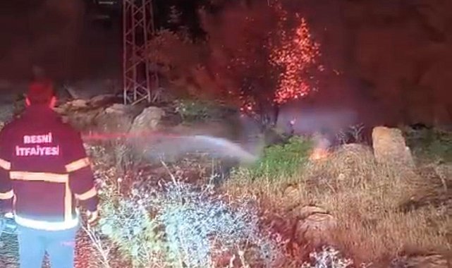 Besni'de 600 dönümlük ormanlık alan küle döndü