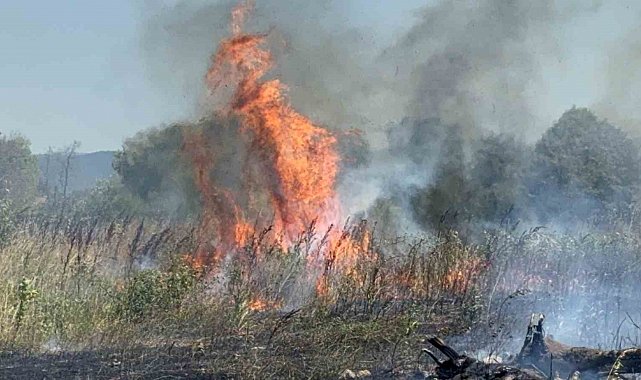 Beton mikserleri ve iş makineleri ile yangını söndürmek için seferber oldular
