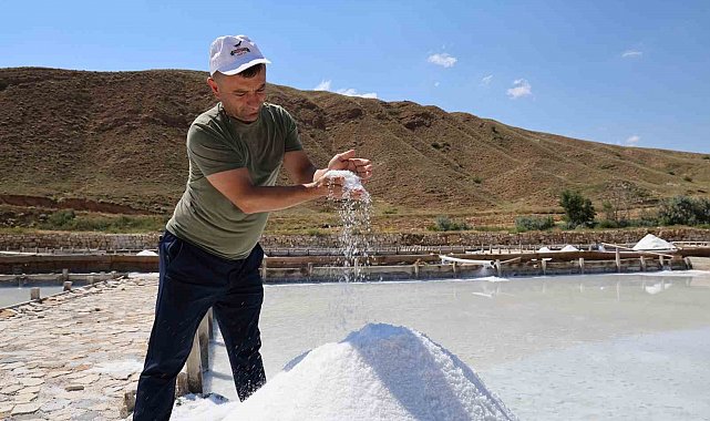 Beyaz altın hasadı başladı