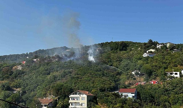 Beykoz'da bulunan ormanlık alanda yangın çıktı. Olay yerine çok sayıda itfaiye ekibi sevk edildi.
