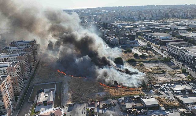 Beylikdüzü'ndeki otluk alan yangını kontrol altına alındı