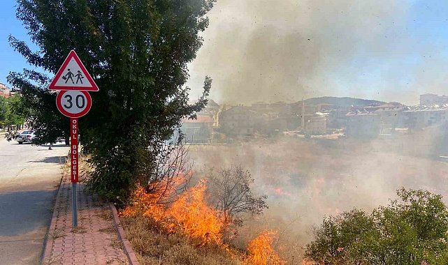Beyşehir'de alevler bahçelere ulaşmadan söndürüldü