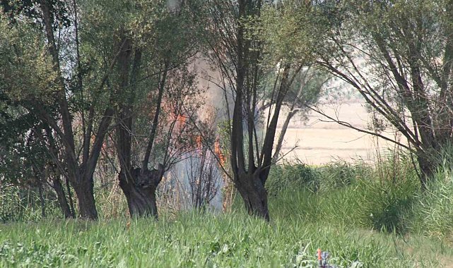 Beyşehir'de biçerdöverde yangın paniği