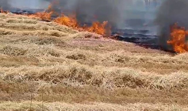 Beyşehir'de korkutan anız yangını, evlere sıçramadan söndürüldü