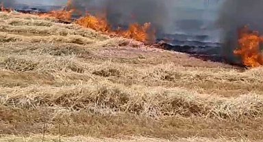 Beyşehir'de korkutan anız yangını, evlere sıçramadan söndürüldü