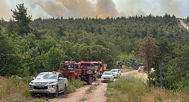 Bilecik'te 2 köyün tahliye edildiği yangın kontrol altına alındı