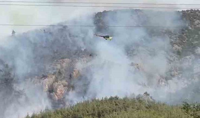 Bilecik'te bir başka orman yangını daha çıktı