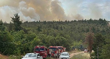 Bilecik'te orman yangını başladı