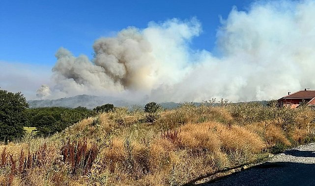 Bilecik'teki orman yangınına müdahale devam ediyor