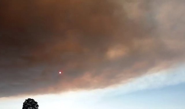 Bilecik'teki yangının dumanları Bursa'ya ulaştı