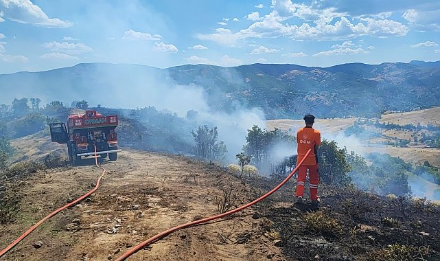 Bingöl Valiliği orman yangınlarına karşı uyardı
