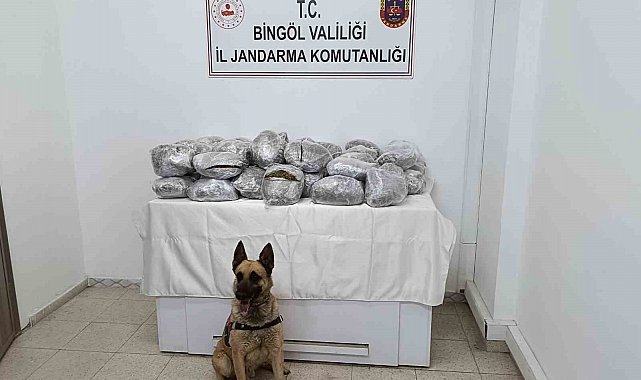 Bingöl'de 49 kilo esrar ele geçirildi