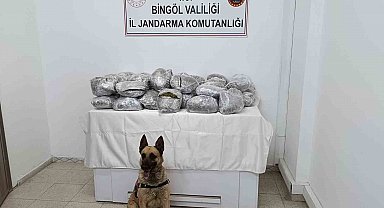 Bingöl'de 49 kilo esrar ele geçirildi