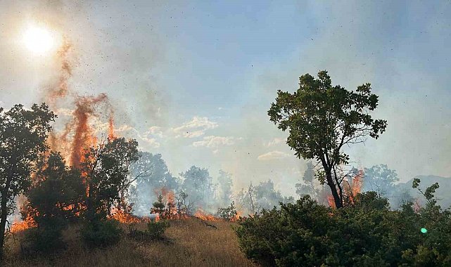 Bingöl'de çıkan orman yangınları söndürüldü