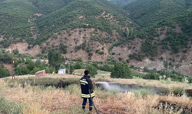 Bingöl'de çıkan örtü yangını söndürüldü